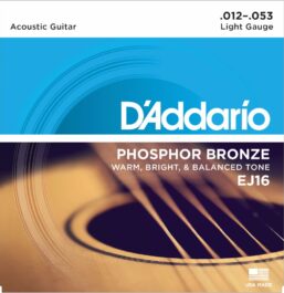 D'Addario ej16_main