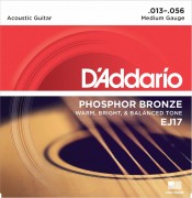 D'Addario ej17_main