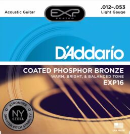 D'Addario exp16_main