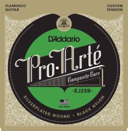 D'Addario ej25b_main