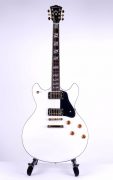 Washburn-HB45-Semi-Acoustic-White-a