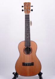 Cordoba 24C Ukulele 9