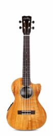 Cordoba Tenor Ukulele 25T-CE_front