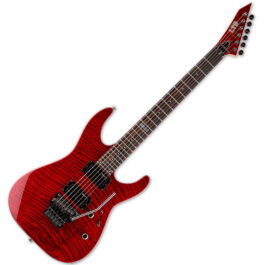 ESP-Ltd-M-100FM-STBC