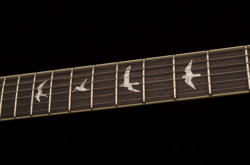 PRS se_tremonti_standard_photo4