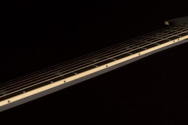 PRS se_tremonti_standard_photo5