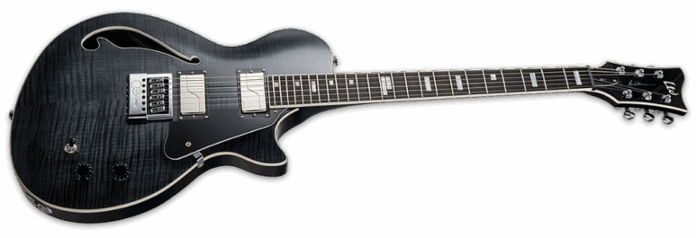 ESP BW-1 EVERTUNE angle