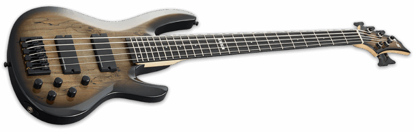 ESP E-II BTL-5 Black Natural Burst Angle