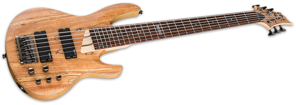 ESP Ltd B-206SM Natural Satin Angle