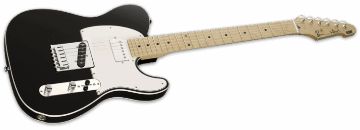 ESP Ron Wood Black Angle