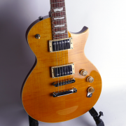 ESP-Ltd-EC-256-VN-5