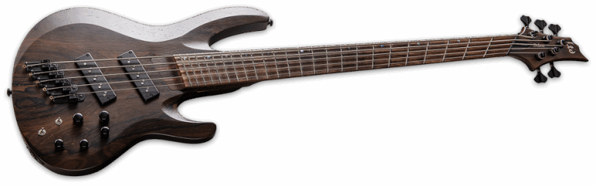 ESP Ltd B-1005 Multi-Scale Natural Satin Angle