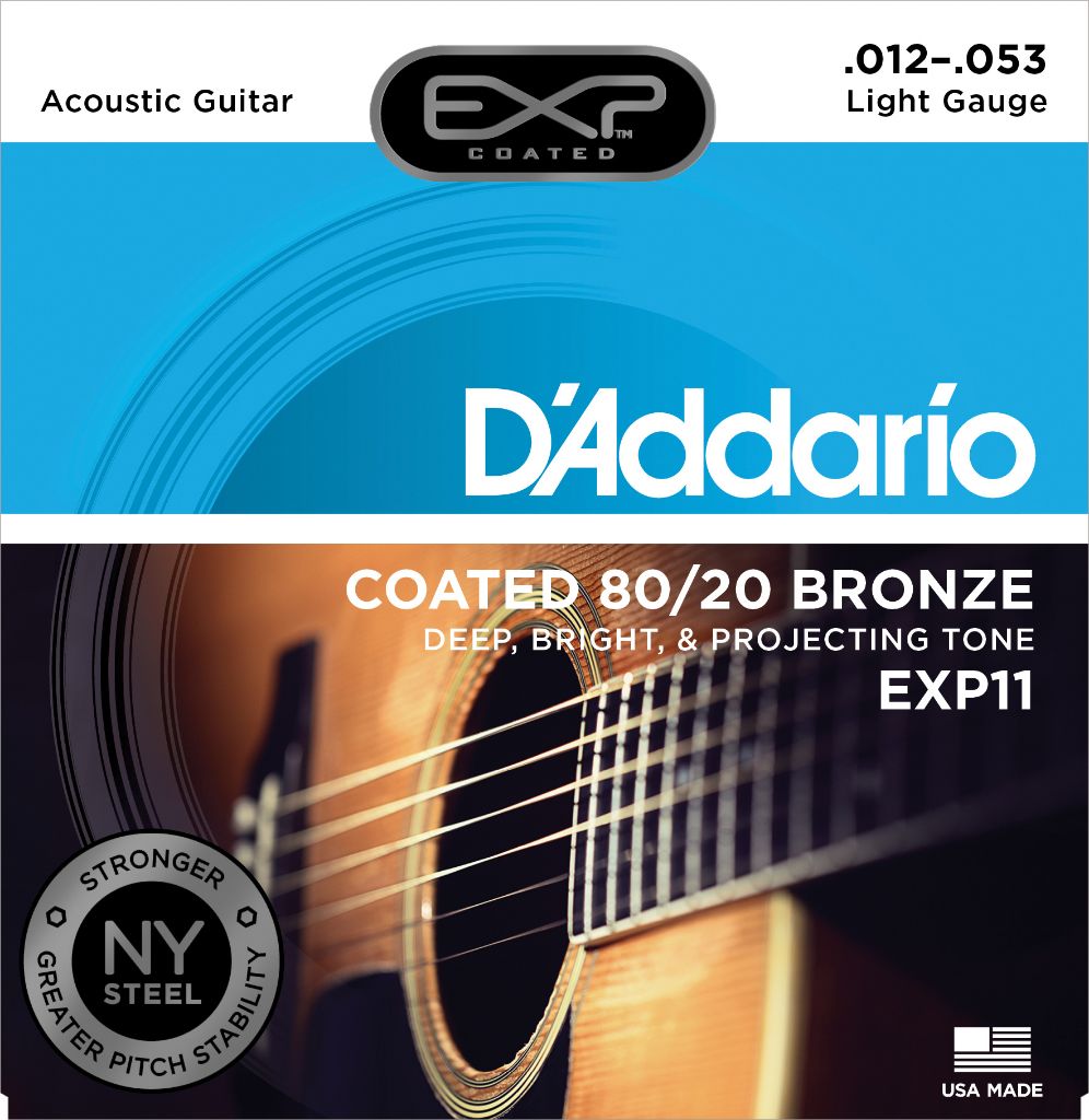 D'Addario exp11_main