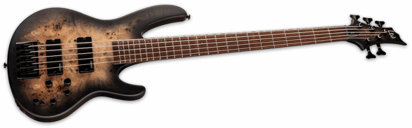 ESP Ltd D5 Black Natural Burst Satin Angle