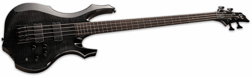 ESP Ltd F-1004 See Thru Black Angle