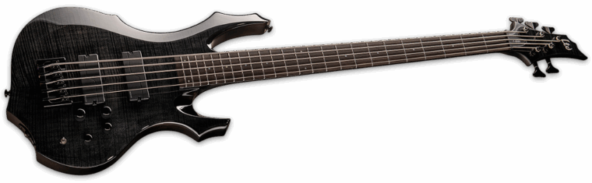 ESP Ltd F-1005 See Thru Black Angle