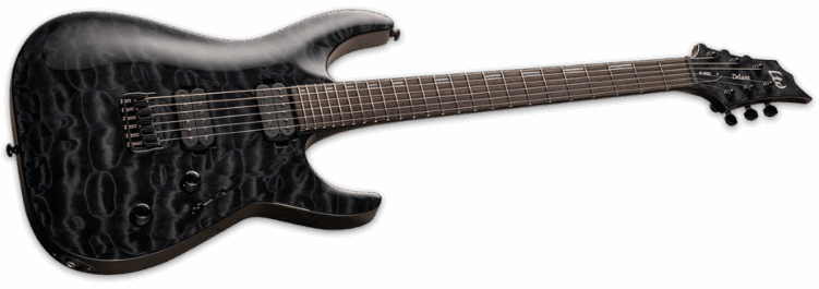 ESP Ltd H-1001 See Thru Black Angle