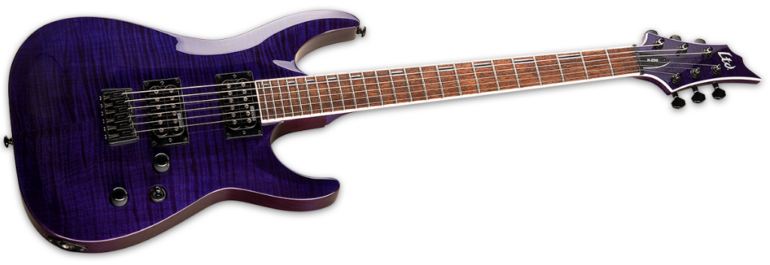 ESP Ltd H-200 See Thru Purple Angle