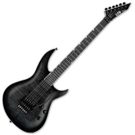 ESP Ltd H3-1000FR See Thru Black Sunburst Main