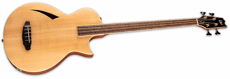 ESP Ltd TL-4 Natural Gloss Angle