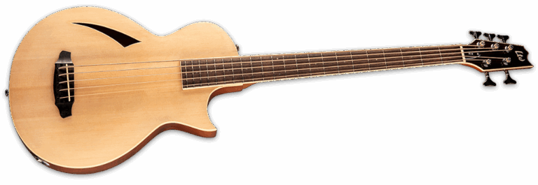 ESP Ltd TL-5 Natural Gloss Angle