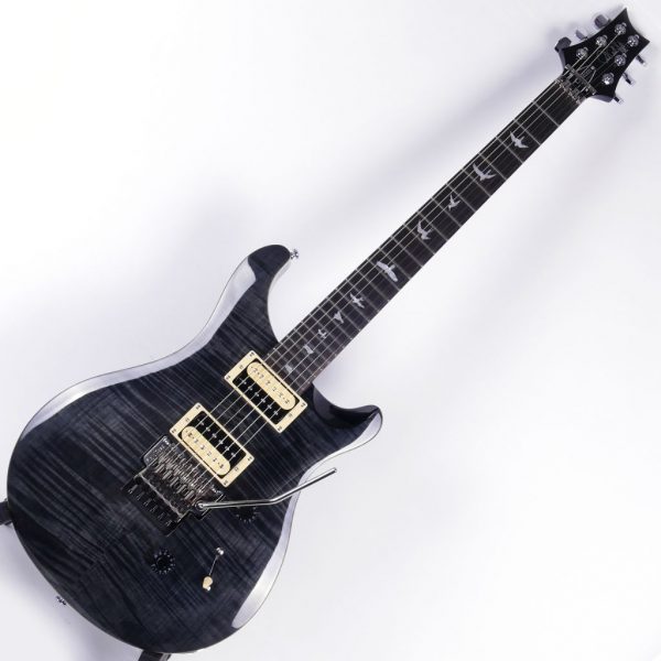 PRS-SE-Custom-24-Floyd-Gray-Black-Ebony-main