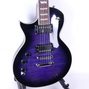 ESP Ltd EC256 STPSB SN19061187 Angle