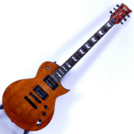 ESP Ltd EC-1000 KOA Main