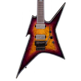 BC-Rich-Ironbird-Extreme-Exotic-with-Floyd-Rose-Purple-Haze-Front