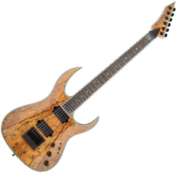 BC Rich Shredzilla Prophecy Archtop with Evertune Bridge Spalted Maple Main