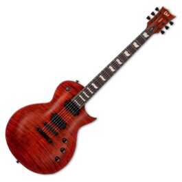 ESP Ltd EC-1001 TE Main