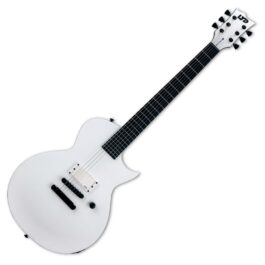 ESP Ltd EC ARCTIC METAL SWS Main