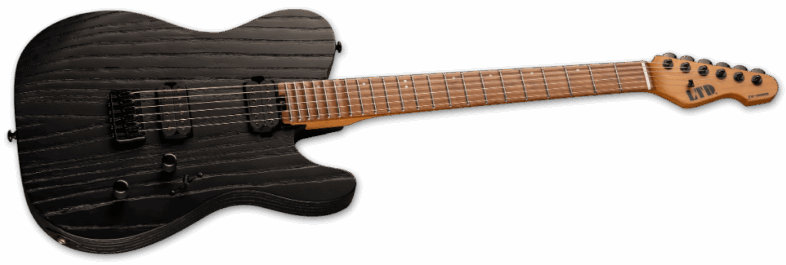 ESP Ltd TE-1000 Black Blast Angle