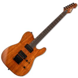 ESP Ltd TE-1000 EVERTUNE KOA NG Main