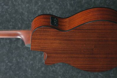 Ibanez AEG50 DHH Angle Back