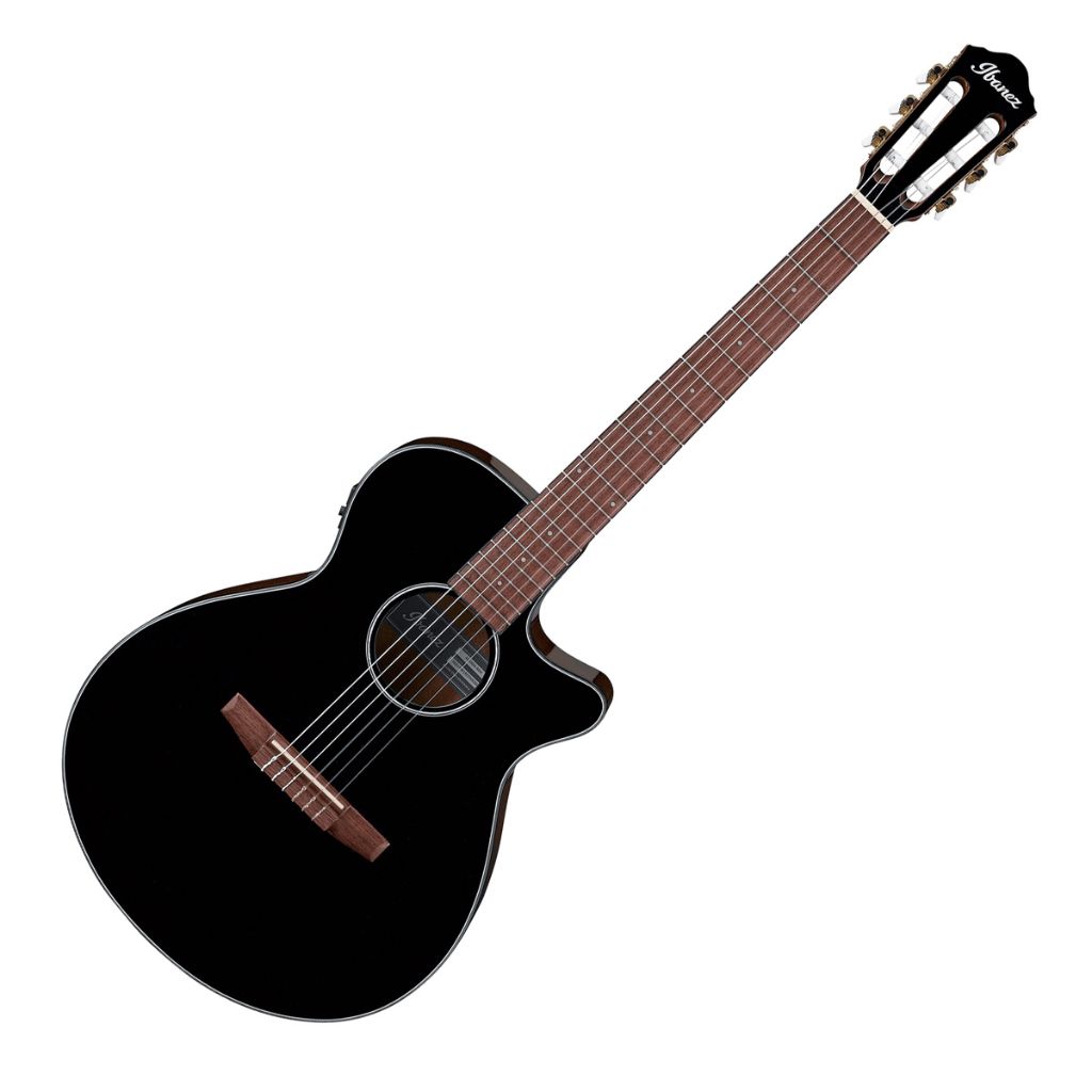 Ibanez AEG50N BKH Main