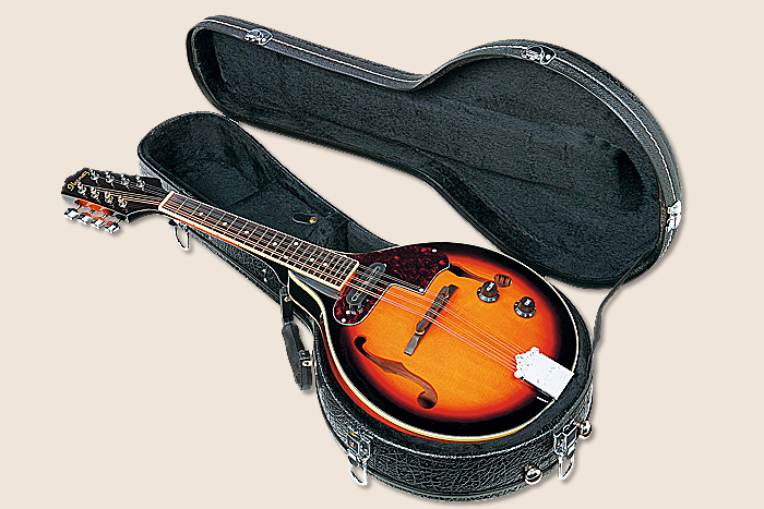 Ibanez M510E BS Case