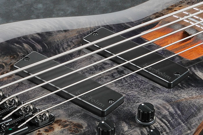 Ibanez Workshop SRMS805 DTW Detail