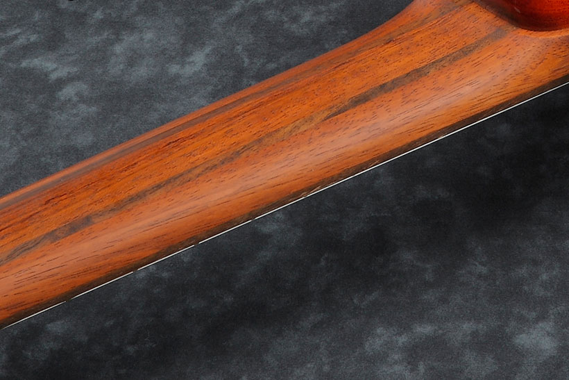 Ibanez Workshop SRMS805 DTW Neck Back