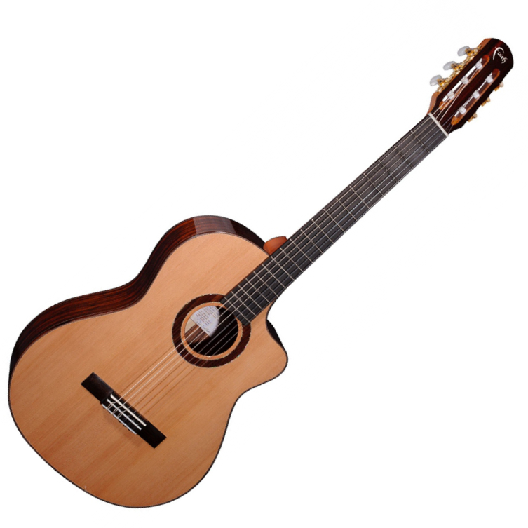 faith nylon string guitar