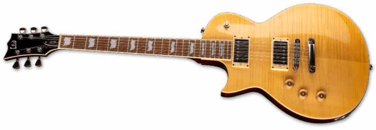 ESP Ltd EC-256 VN LH Angle