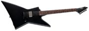 ESP Ltd EX-201_BLKS_ANGLED