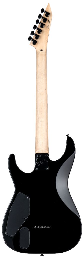 ESP Ltd M-1001NT_CHB_BACK