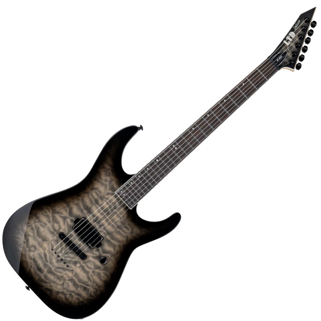 ESP Ltd M-1001NT_CHB_FRONT
