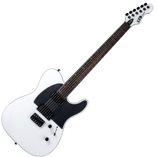 ESP Ltd TE-1000_SW_FRONT