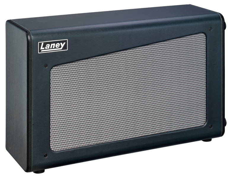 Laney Cub-212 1
