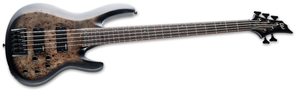 ESP Ltd B-5 Ebony Charcoal Burst Satin Angle