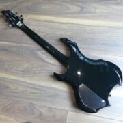 ESP GL-F George Lynch (5)