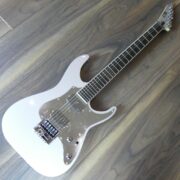 ESP Ltd KS M-6 19070113 (2)