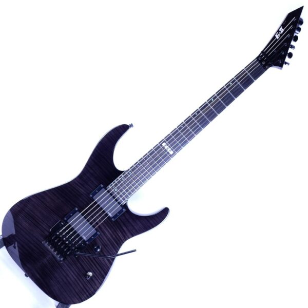 ESP E-II M-II FM STBLK 23-03 (7)